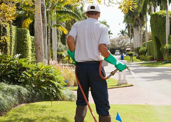 About Jamaica NY Pest Control Pros